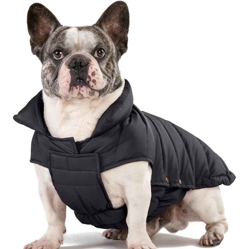Space lion Black down Dog Jacket coat XL/16